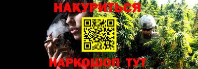 прущие грибы Апрелевка