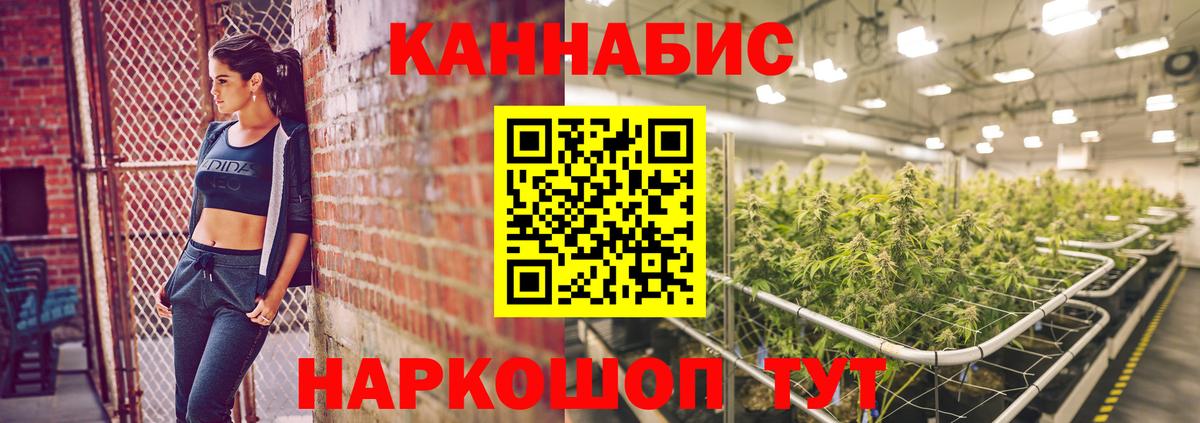 Бошки Шишки индика  Вход с VPN  Бошки Шишки Bruce Banner  Бердск  Бошки марихуана AK-47  Конопля марихуана 